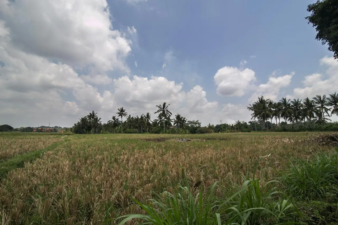 Marijo Villa Ubud